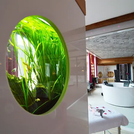 Cozy With Pool & Nature Appartement *